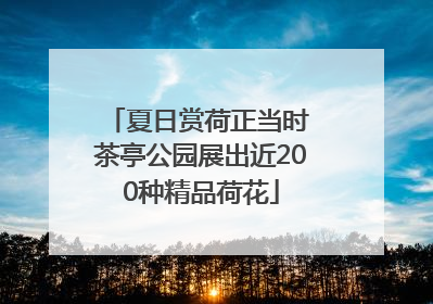 夏日赏荷正当时 茶亭公园展出近200种精品荷花