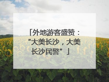 外地游客盛赞：“大美长沙，大美长沙民警”