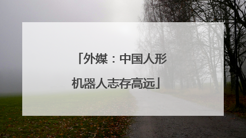 外媒：中国人形机器人志存高远