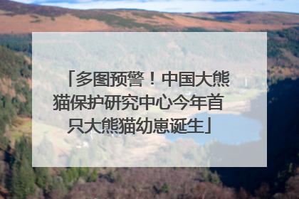 多图预警！中国大熊猫保护研究中心今年首只大熊猫幼崽诞生