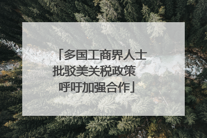 多国工商界人士批驳美关税政策 呼吁加强合作