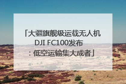 大疆旗舰级运载无人机DJI FC100发布：低空运输集大成者