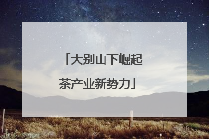 大别山下崛起茶产业新势力