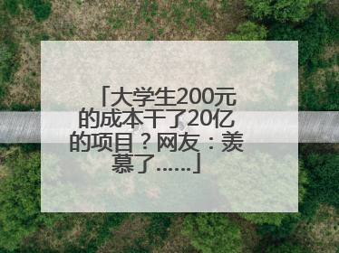 大学生200元的成本干了20亿的项目？网友：羡慕了……