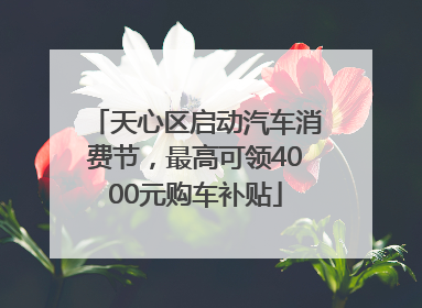 天心区启动汽车消费节，最高可领4000元购车补贴