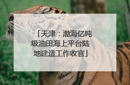 天津：渤海亿吨级油田海上平台陆地建造工作收官