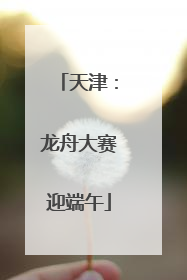 天津：龙舟大赛迎端午