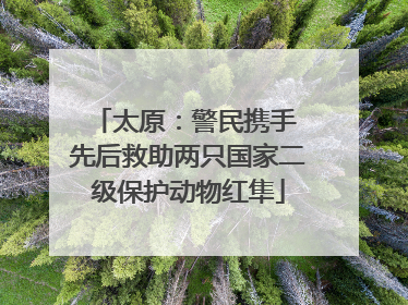 太原：警民携手 先后救助两只国家二级保护动物红隼