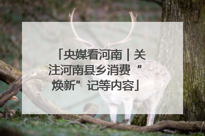 央媒看河南｜关注河南县乡消费“焕新”记等内容