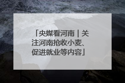 央媒看河南｜关注河南抢收小麦、促进就业等内容