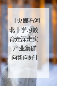 央媒看河北丨学习教育走深走实 产业集群向新向好