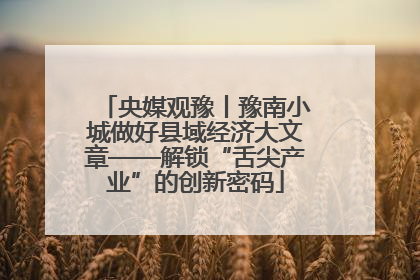 央媒观豫丨豫南小城做好县域经济大文章——解锁“舌尖产业”的创新密码