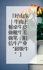 好山东｜牛肉上餐桌牛皮做靴牛毛做笔，阳信牛产业“超级牛”