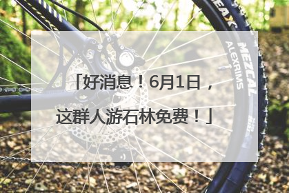 好消息！6月1日，这群人游石林免费！