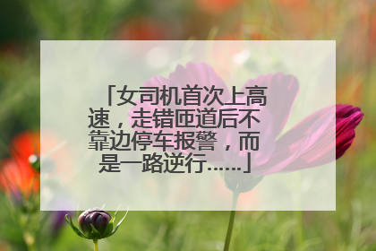 女司机首次上高速，走错匝道后不靠边停车报警，而是一路逆行……