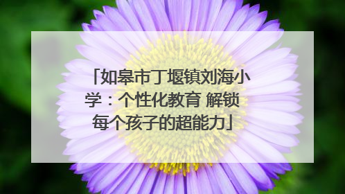 如皋市丁堰镇刘海小学：个性化教育 解锁每个孩子的超能力