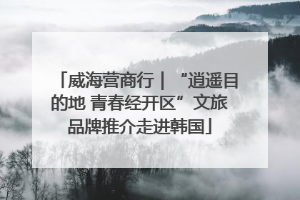 威海营商行｜“逍遥目的地 青春经开区”文旅品牌推介走进韩国