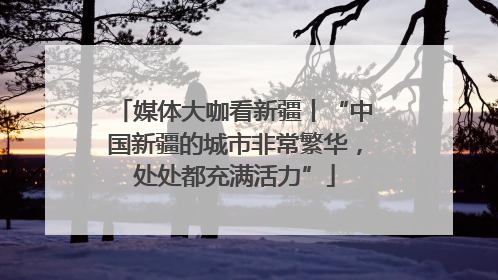 媒体大咖看新疆丨“中国新疆的城市非常繁华，处处都充满活力”