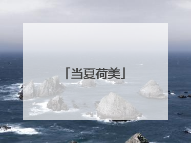 当夏荷美