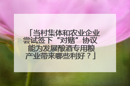 当村集体和农业企业尝试签下“对赌”协议 能为发展酿酒专用粮产业带来哪些利好？