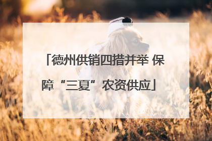德州供销四措并举 保障“三夏”农资供应