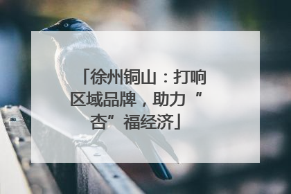 徐州铜山：打响区域品牌，助力“杏”福经济