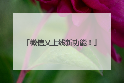 微信又上线新功能！