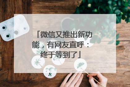 微信又推出新功能，有网友直呼：终于等到了
