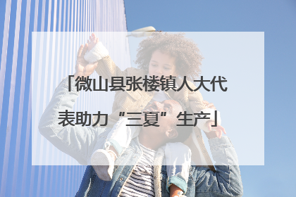 微山县张楼镇人大代表助力“三夏”生产