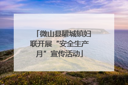 微山县驩城镇妇联开展“安全生产月”宣传活动