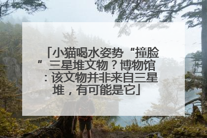 小猫喝水姿势“撞脸”三星堆文物？博物馆：该文物并非来自三星堆，有可能是它