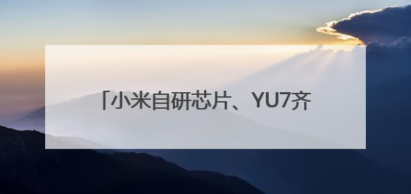小米自研芯片、YU7齐发布！相关话题霸占热搜榜，雷军一夜涨粉超20万