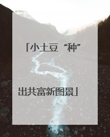 小土豆“种”出共富新图景