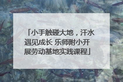 小手触碰大地，汗水遇见成长 乐师附小开展劳动基地实践课程