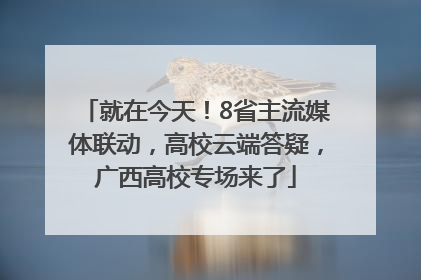 就在今天！8省主流媒体联动，高校云端答疑，广西高校专场来了