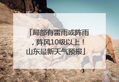 局部有雷雨或阵雨，阵风10级以上！山东最新天气预报