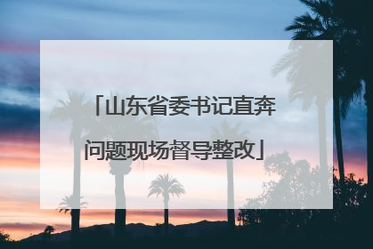 山东省委书记直奔问题现场督导整改