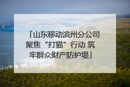 山东移动滨州分公司聚焦“打猫”行动 筑牢群众财产防护堤