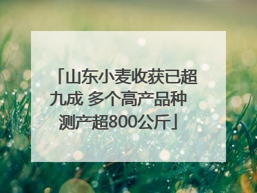山东小麦收获已超九成 多个高产品种测产超800公斤