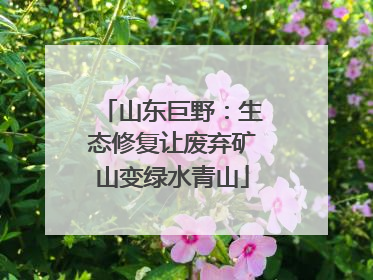 山东巨野：生态修复让废弃矿山变绿水青山
