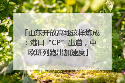 山东开放高地这样炼成：港口“CP”出道，中欧班列跑出加速度