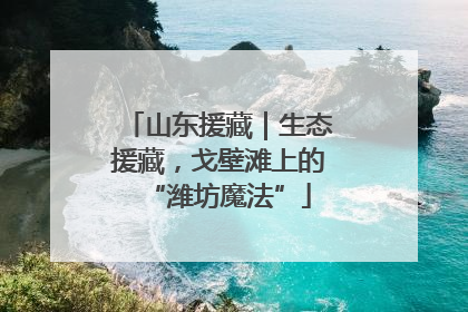 山东援藏｜生态援藏，戈壁滩上的“潍坊魔法”
