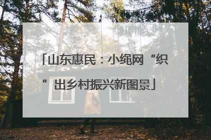 山东惠民：小绳网“织”出乡村振兴新图景