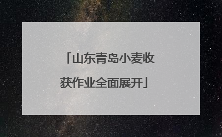 山东青岛小麦收获作业全面展开