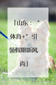 山东：“体育+”引领假期新风尚