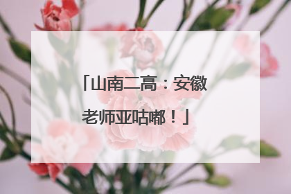山南二高：安徽老师亚咕嘟！