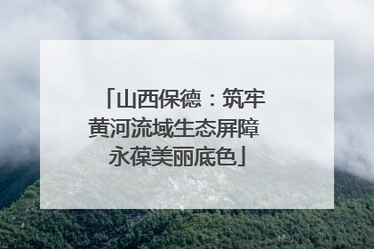 山西保德：筑牢黄河流域生态屏障 永葆美丽底色