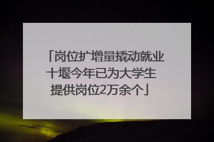 岗位扩增量撬动就业 十堰今年已为大学生提供岗位2万余个