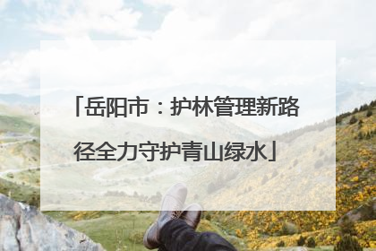 岳阳市：护林管理新路径全力守护青山绿水
