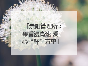 崇阳管理所：果香漫高速 爱心“鲜”万里